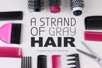 a strand of gray hair